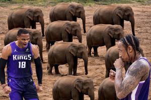 NBA开局拜师科比