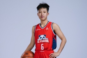 尼斯 塞里集锦