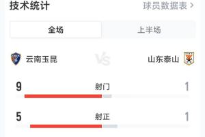 史家冰球队