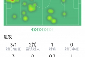 萨内 欧冠