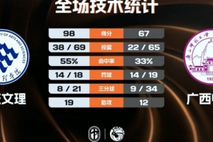 德米拉尔以前球队