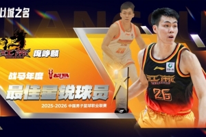 意大利前锋di natale