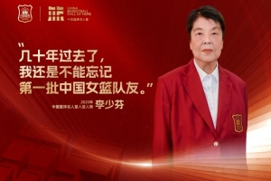 考辛斯集锦怎么样