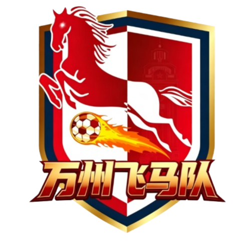 万州飞马队
