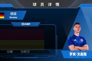 HWG！紫百合边翼戈森斯先租后买加盟沙尔克04看看集锦