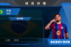 HWG！马丁内利超6500w欧加盟利雅得新月来看集锦吧！